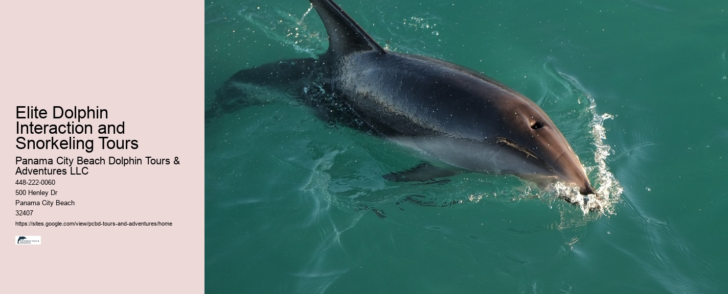 Dolphin Fact Sheet