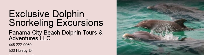 Are there any specific clothing recommendations for the dolphin tour