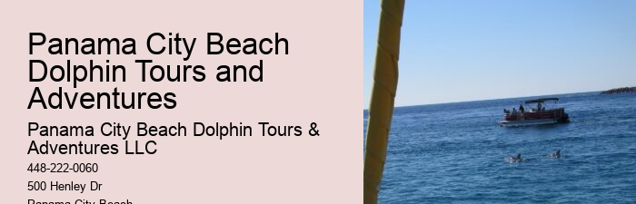 Are dolphin tours in Panama City Beach suitable for children