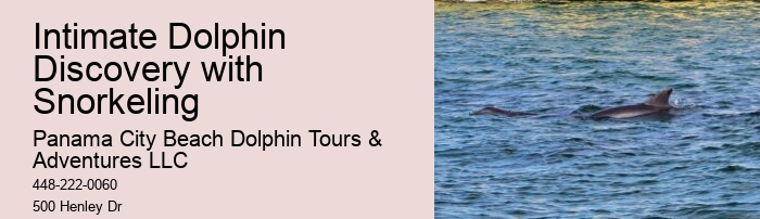 How close do the dolphin boats get to the dolphins in Panama City Beach