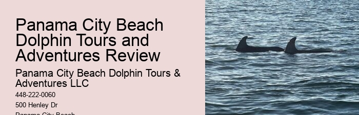 Split Charter Dolphin Tours