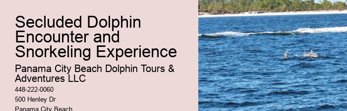 Panama City Beach marine life tours