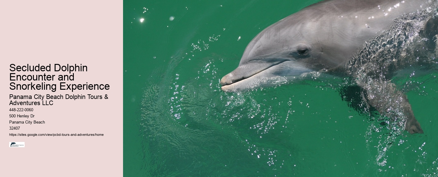 Panama City Beach Florida Dolphin Tours