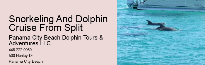 Panama City Beach dolphin cruise