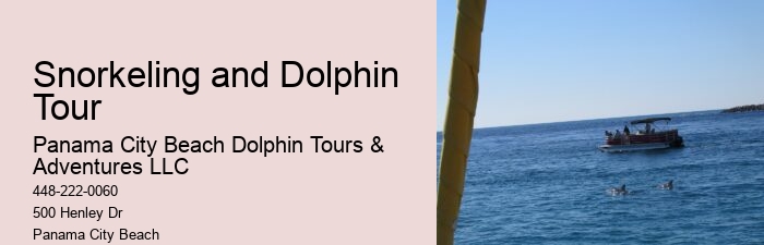 Split Diving Trips Combined With Dolphin Watching