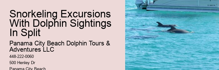 Split Private Snorkeling And Dolphin Watching Tours