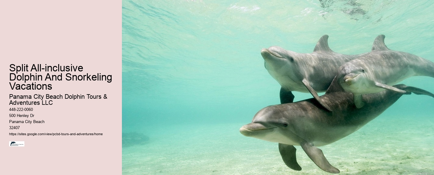 Private Dolphin Tours Hilton Head