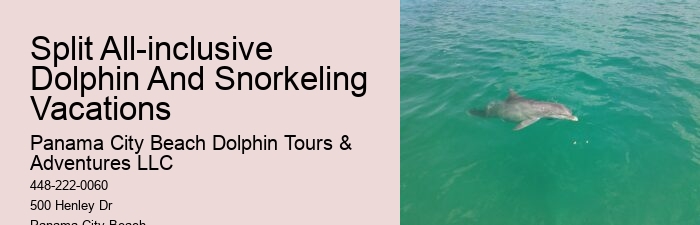 Split Expert-guided Snorkeling And Dolphin Adventures
