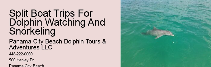 Where Is The Best Place To Swim With Dolphins