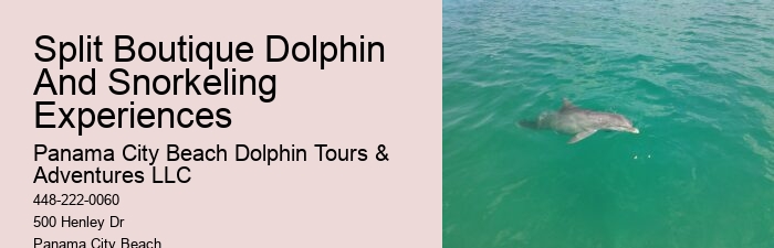 Yacht Dolphin Tours