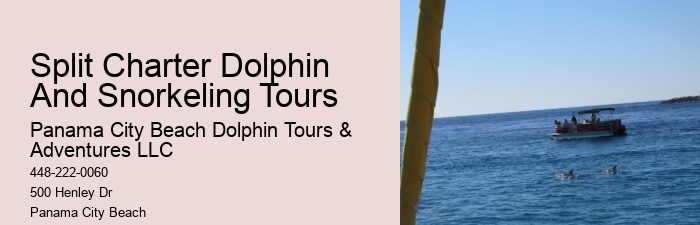 Are there evening sunset dolphin tours available in Panama City Beach