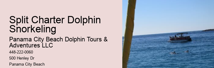 Panama City Beach dolphin viewing tours