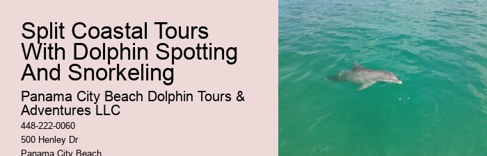 Split Private Luxury Dolphin And Snorkeling Tours