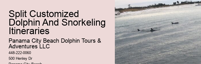 Marine mammal research