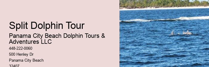 Jet Boat Dolphin Tours