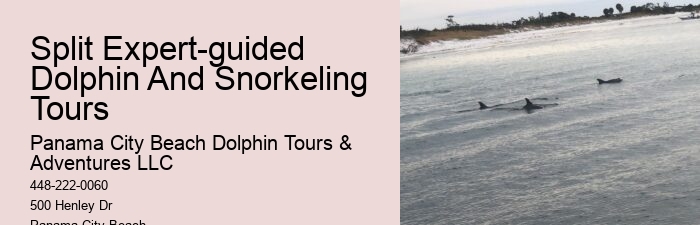Rudee Dolphin Tours Reviews