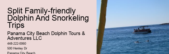 Intimate Dolphin Expedition with Snorkeling
