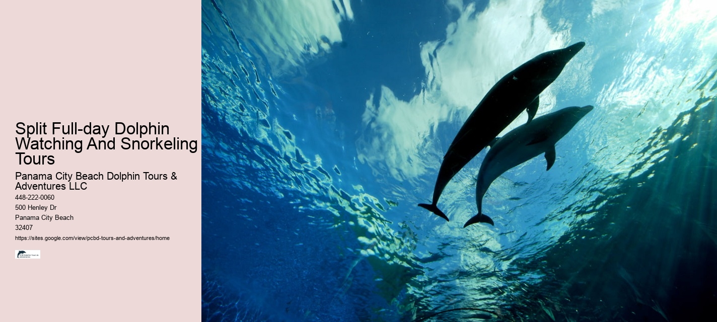 Panama City Beach Catamaran Snorkel Dolphin Swim Cruise