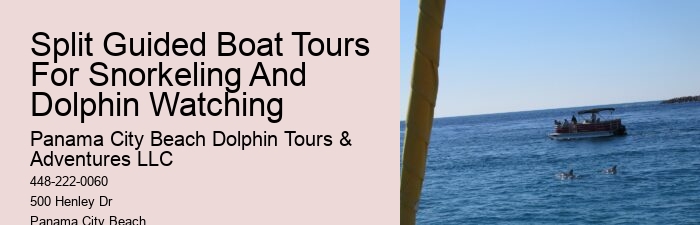 Do Dolphins Swim Close To Cruise Ships