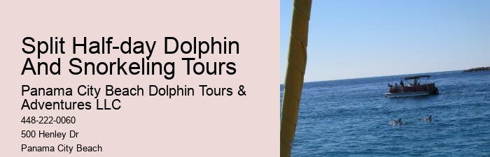 Private Dolphin
