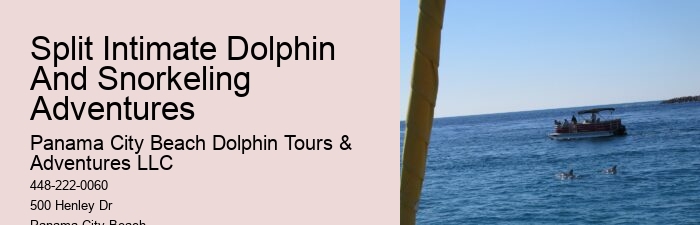 Split Memorable Dolphin And Snorkeling Adventures