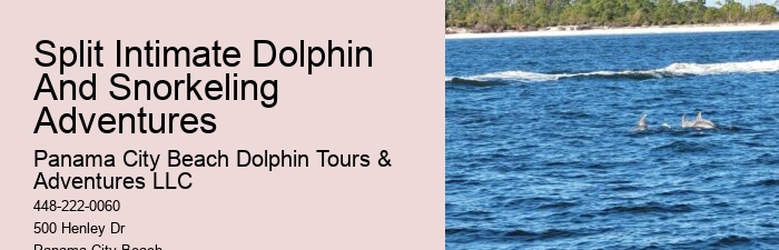 Are there any age restrictions for dolphin tours in Panama City Beach