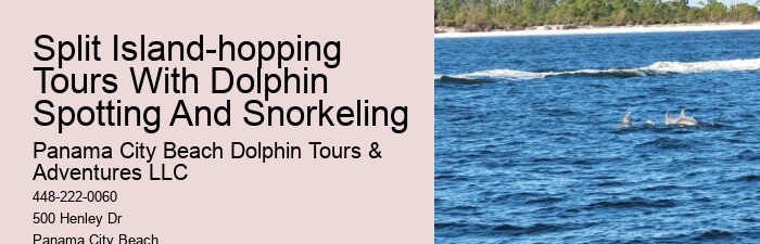 Dolphin Tours Near Panama City Beach