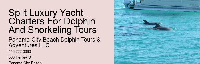 The Ugly Truth About Dolphin Shows