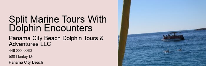 Secluded Dolphin Exploration with Snorkeling