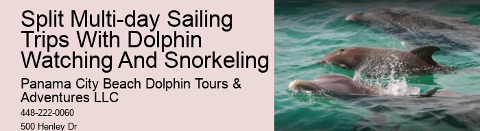 Split Customized Snorkeling And Dolphin Itineraries