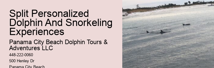 Panama City Beach wildlife tours including dolphins