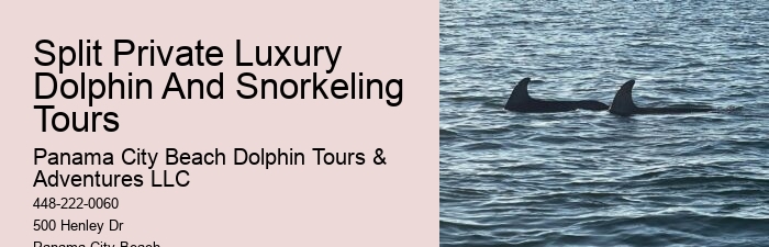 Panama City Beach Dolphin Sightseeing