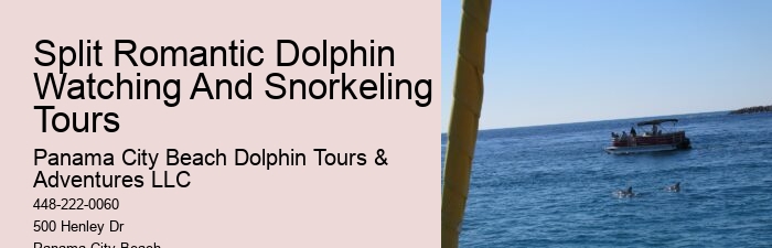 Split Vip Snorkeling And Dolphin Watching Tours