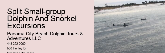 Dolphin Express
