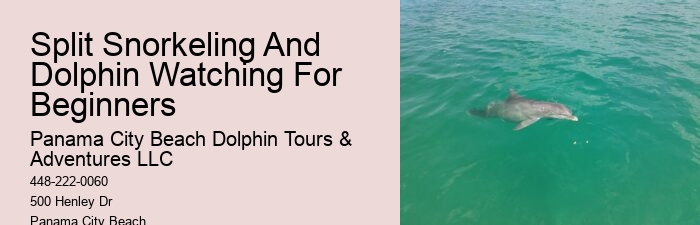 Sunset Dolphin Tours Panama City Beach