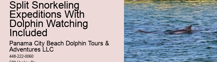 Panama City Beach Boat Tours