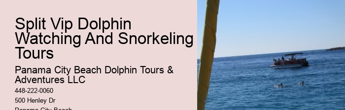 Best Sunset Dolphin Cruise Panama City Beach