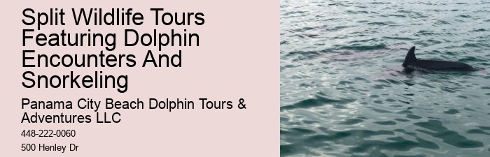 Tours