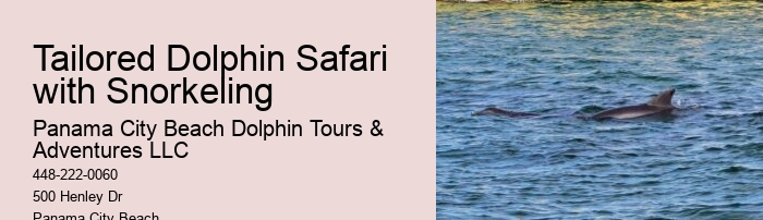 Which Beach Is Best For Dolphin Cruise