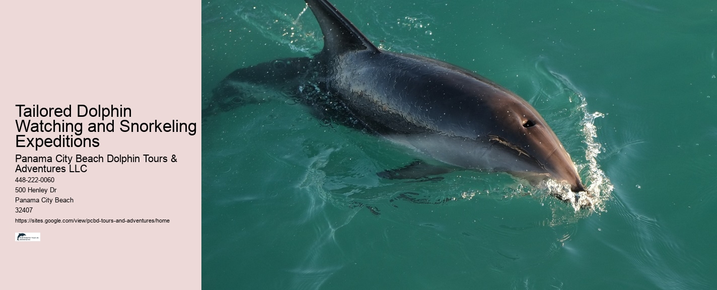 How Long Is The Dolphin Swim Experience And What Is The Age