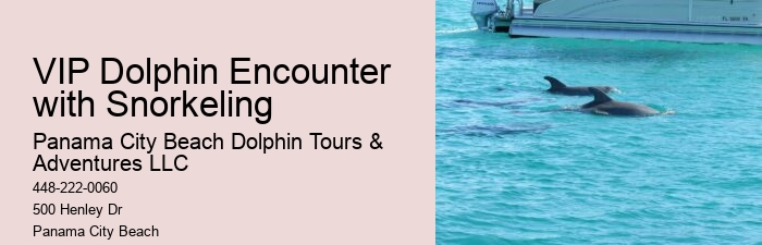 Split Family-friendly Dolphin And Snorkeling Trips
