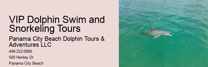 Tailored Dolphin Safari with Snorkeling